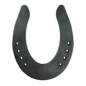 S horseshoe